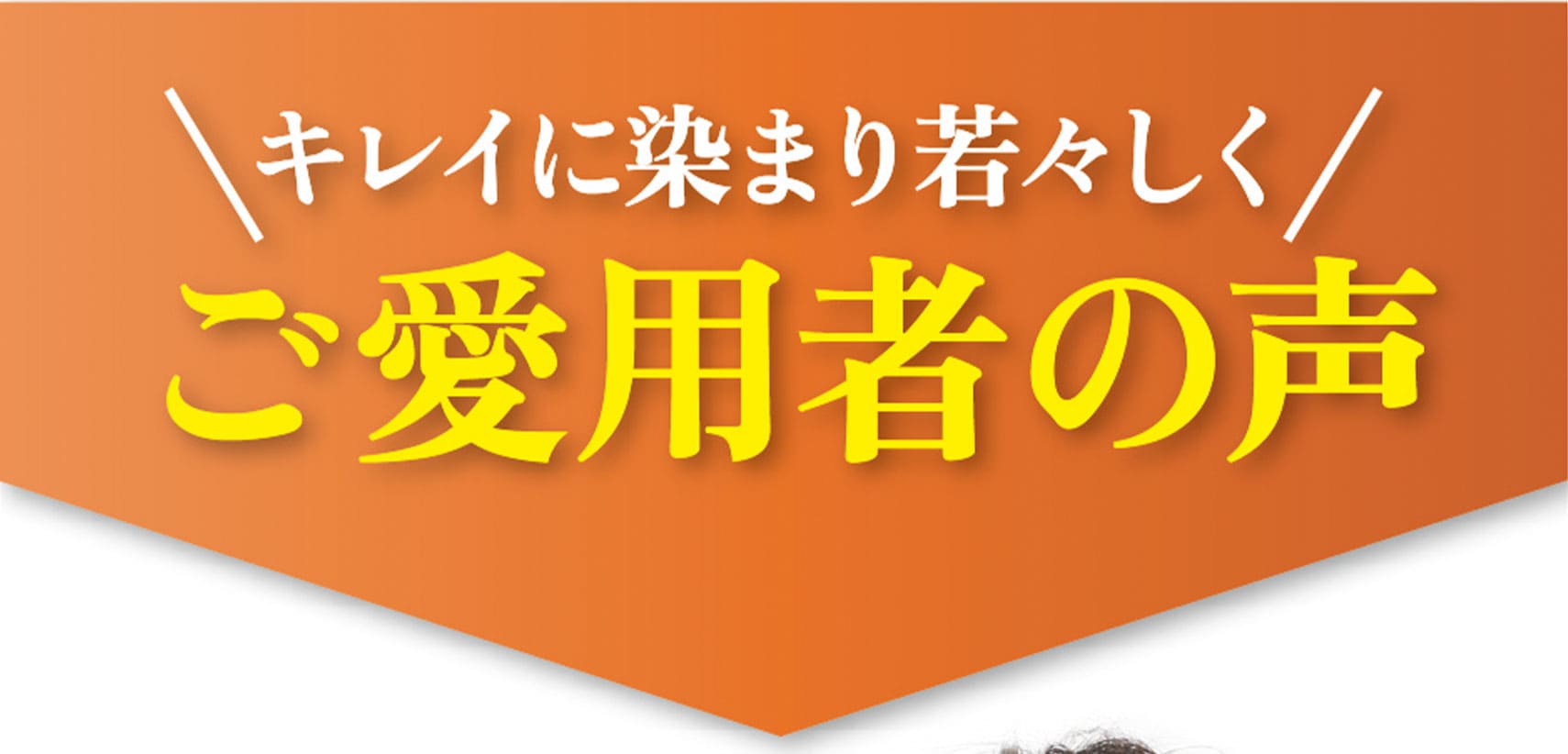 ご愛用者の声