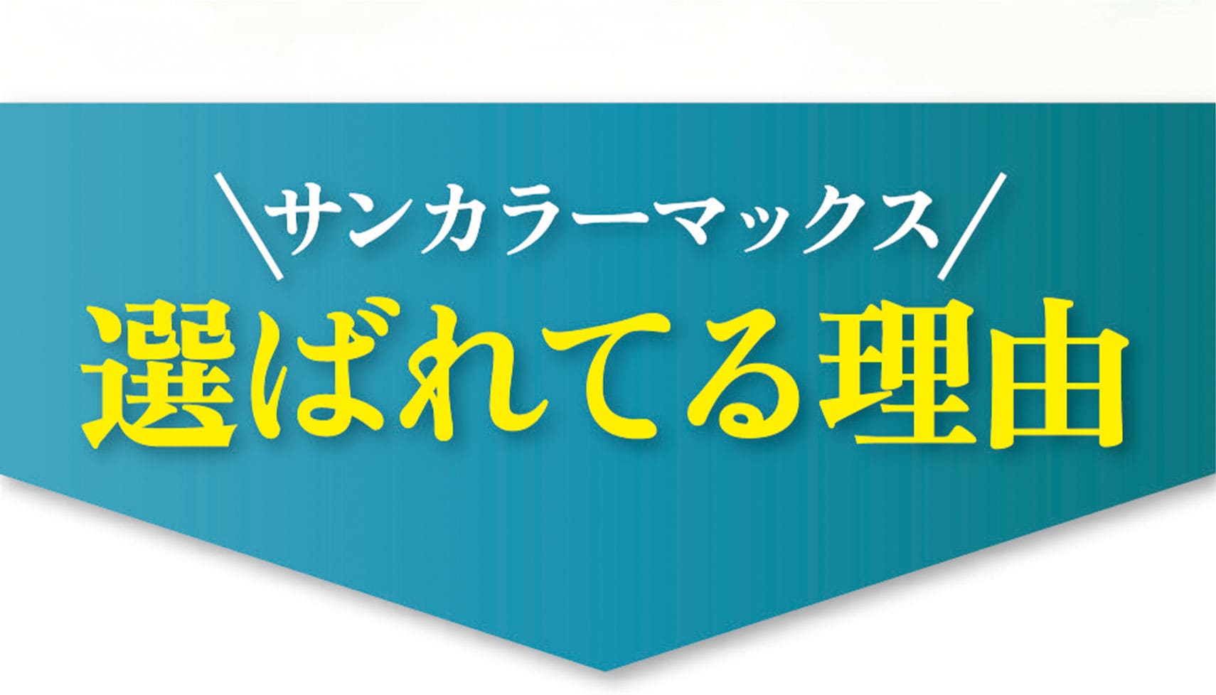 選ばれてる理由