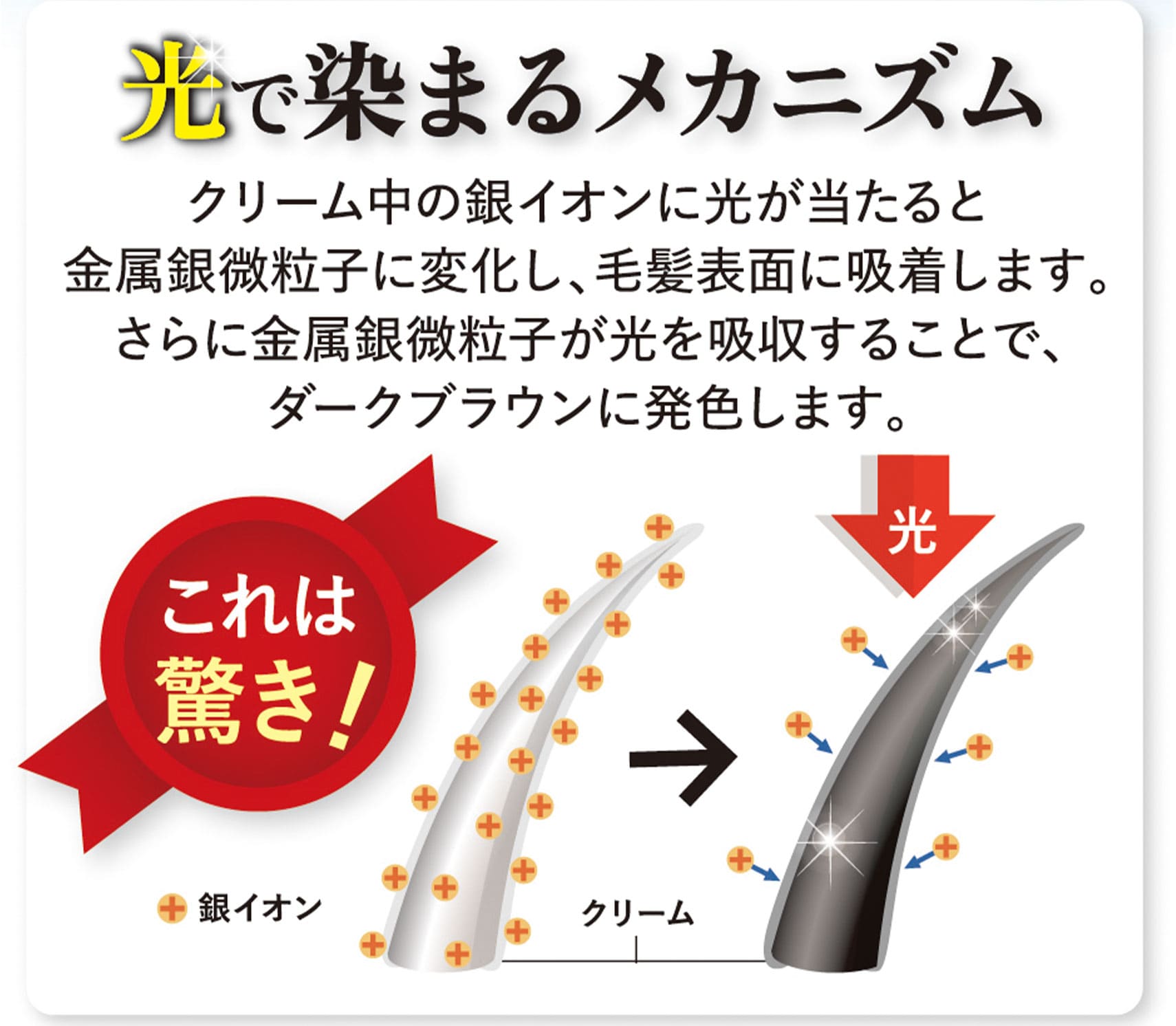 光で染まるメカニズム