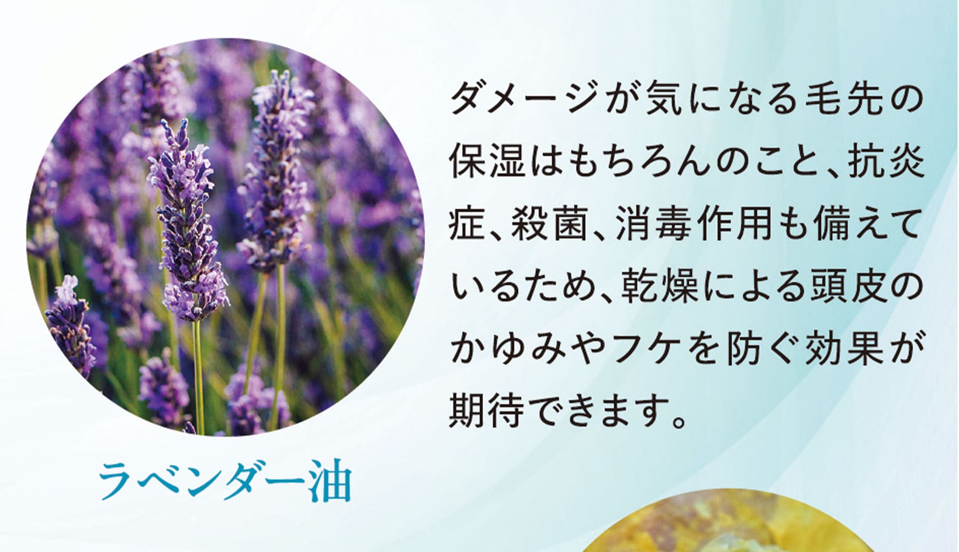 ラベンダー油