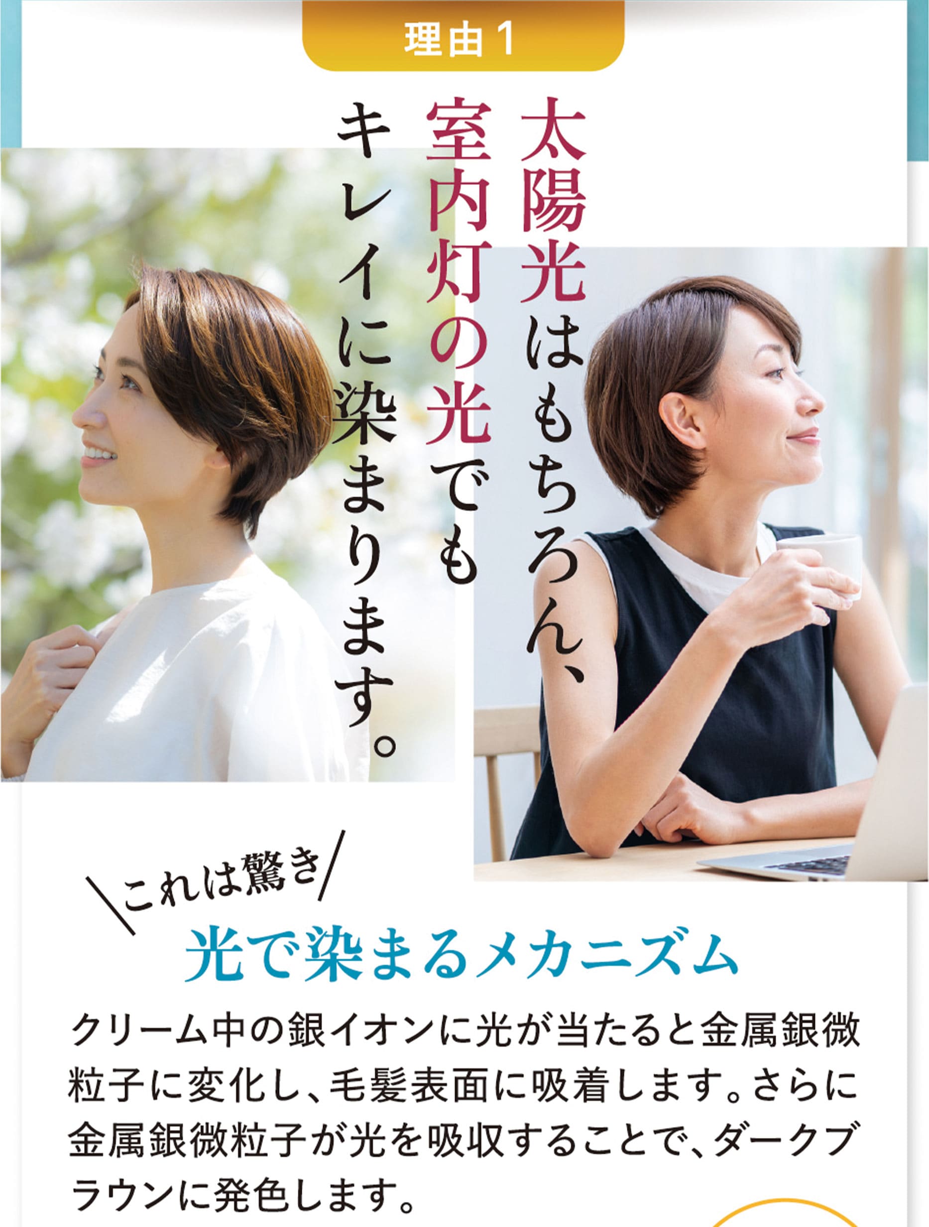 理由1