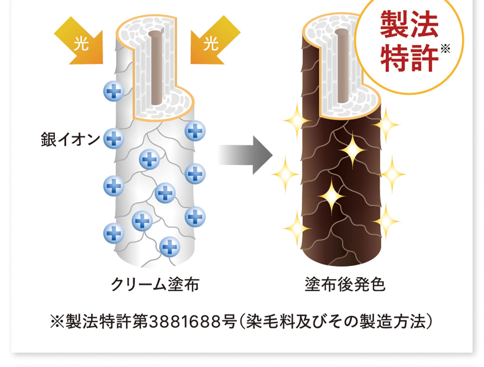 特報特許