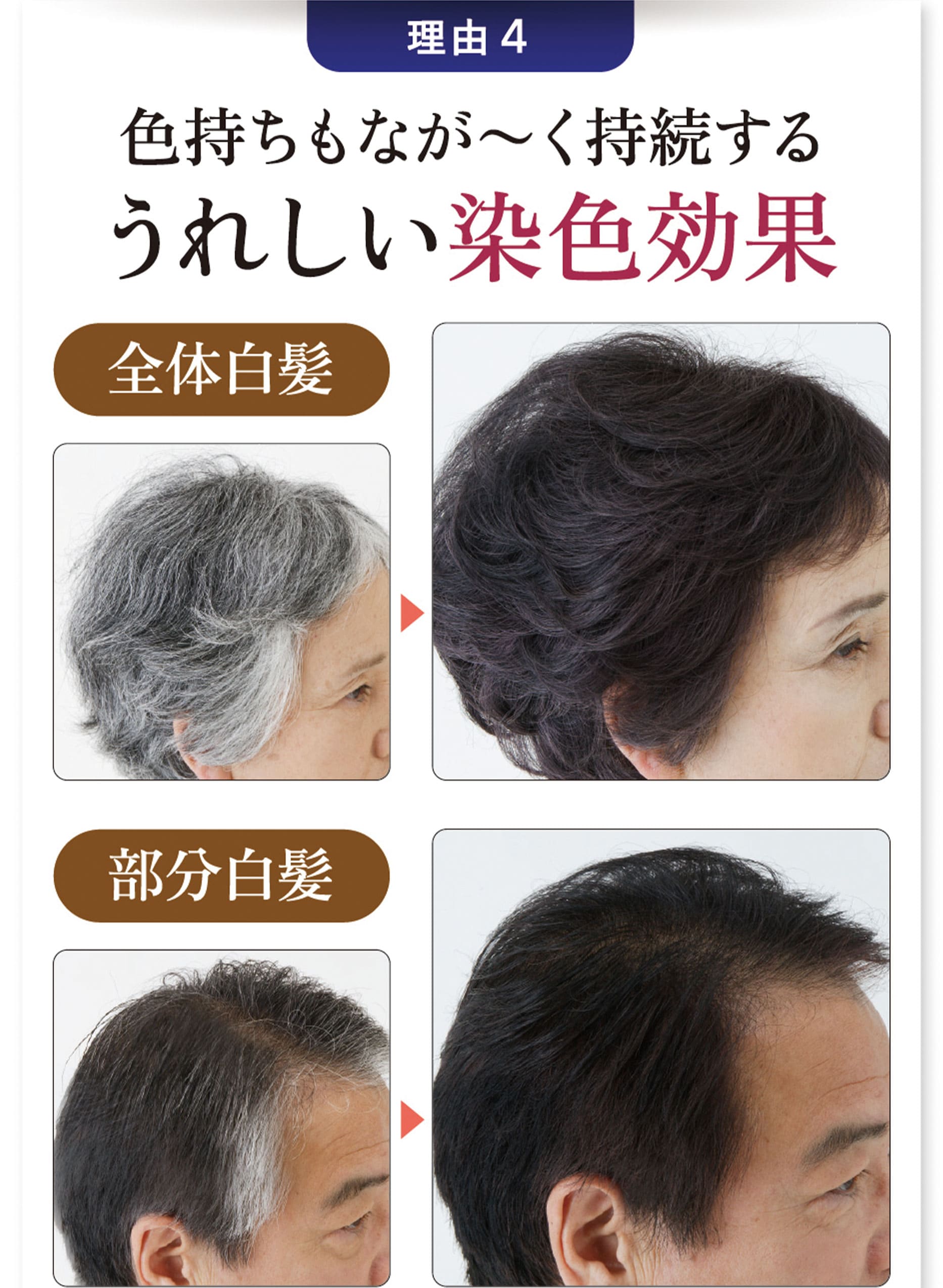 初回2本半額50%off 白髪染めサンカラーマックス③ ｜ ケンコー公式