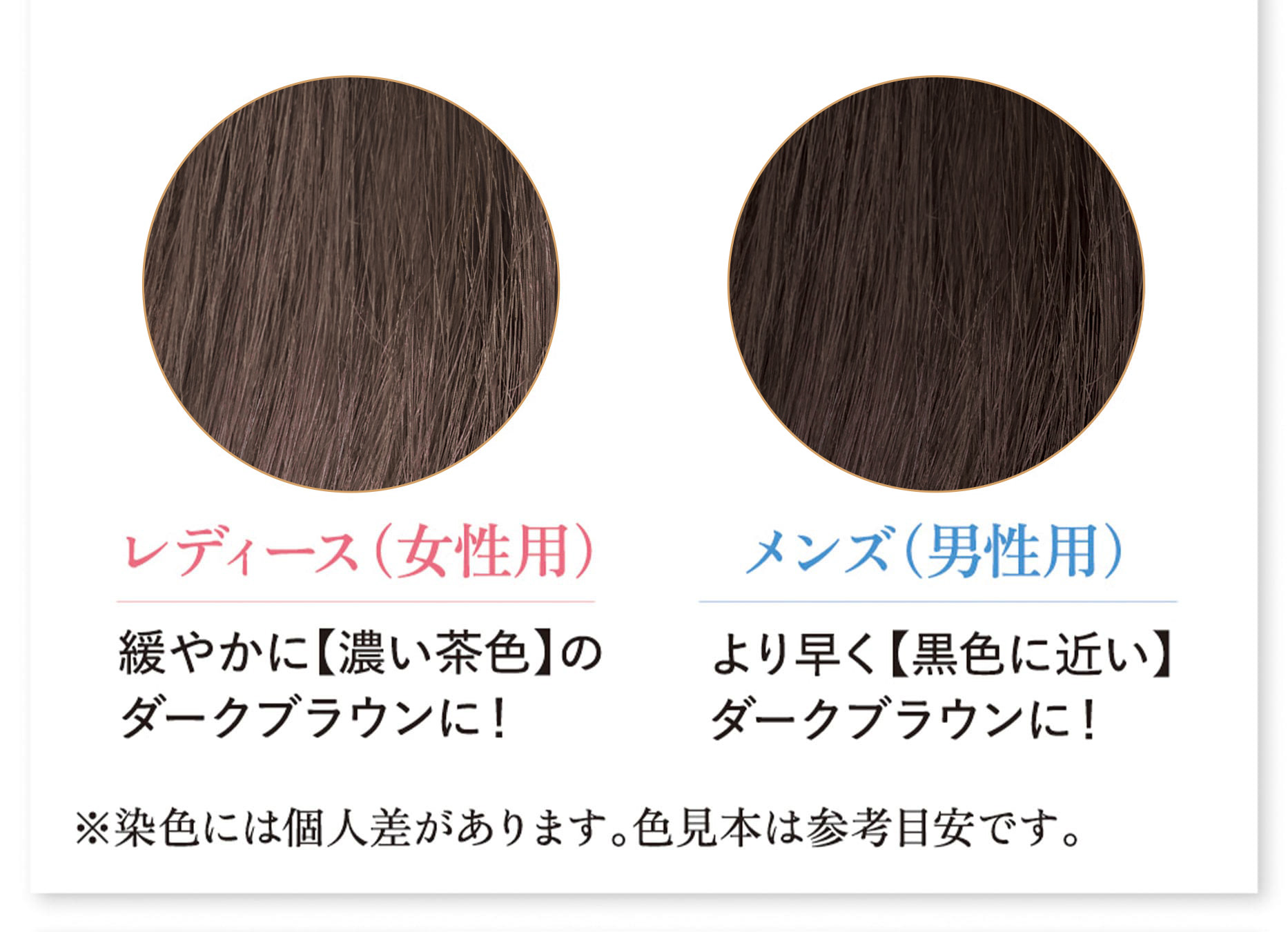 初回2本半額50%off 白髪染めサンカラーマックス③ ｜ ケンコー公式